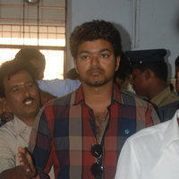 Vijay - Kollywood Celebrities Cast Their Votes - Pictures | Picture 104418